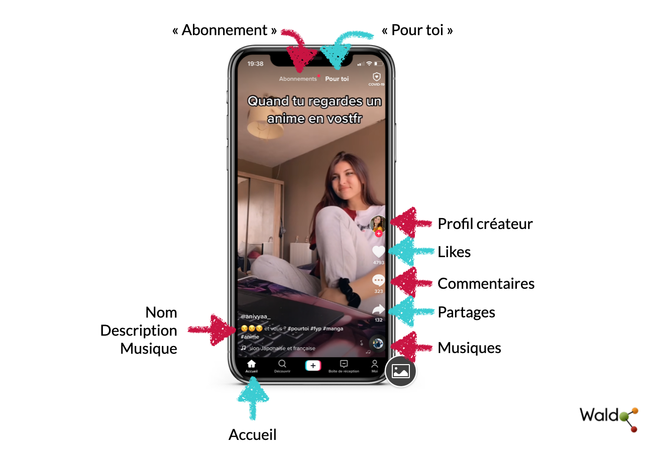 Comment Fonctionne Tiktok Waldo Agence Dinfluence Marketing 